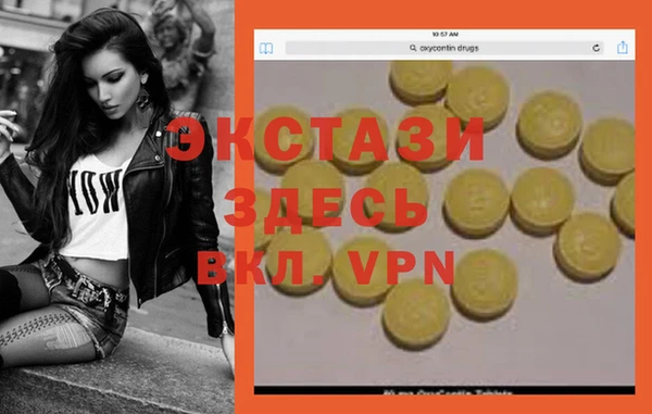 стаф Новодвинск