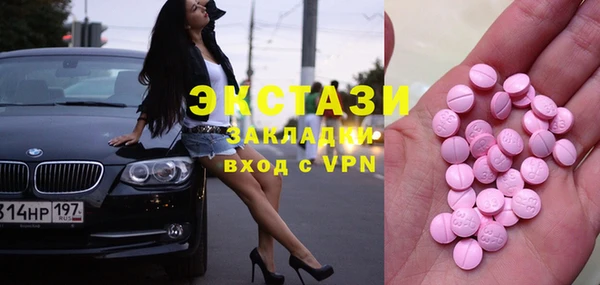 стаф Новодвинск