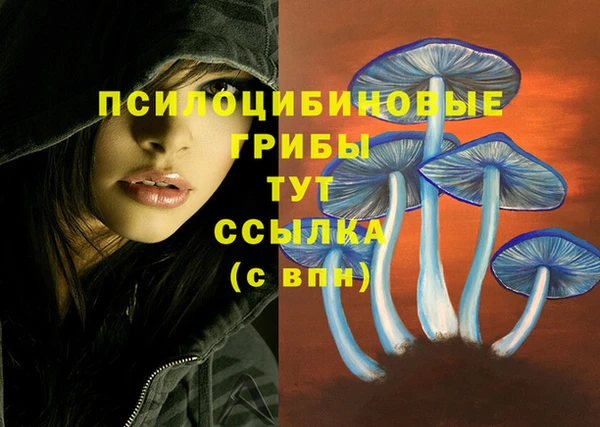 МДМА Заполярный